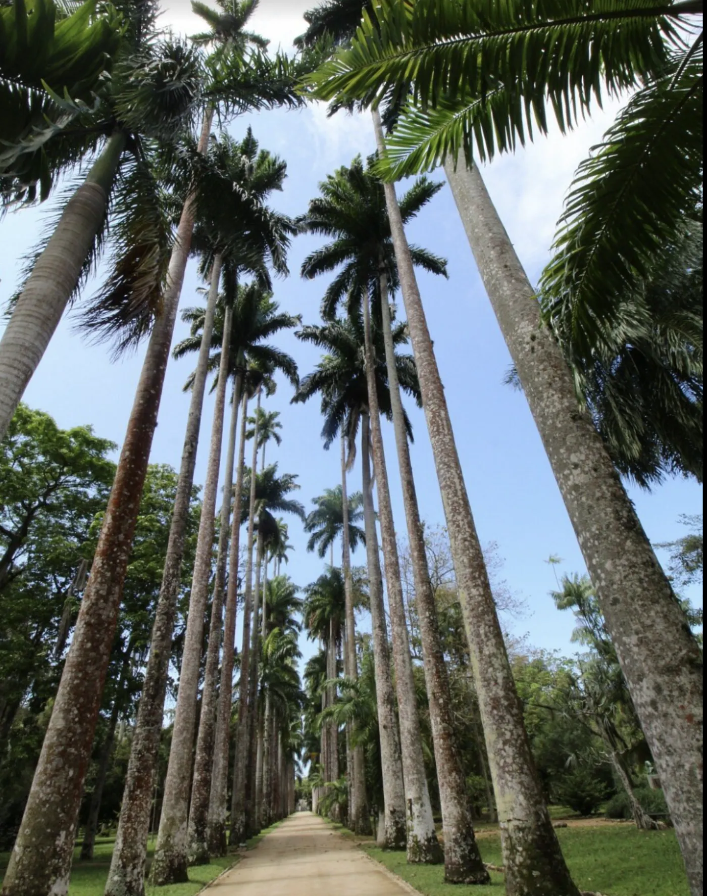 Jardim Botânico
